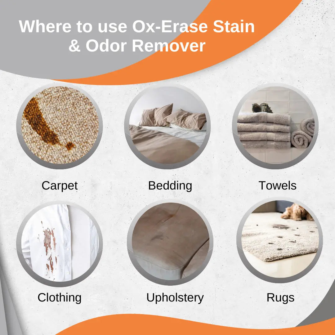 Ox-Erase Stain & Odor Remover Gallon