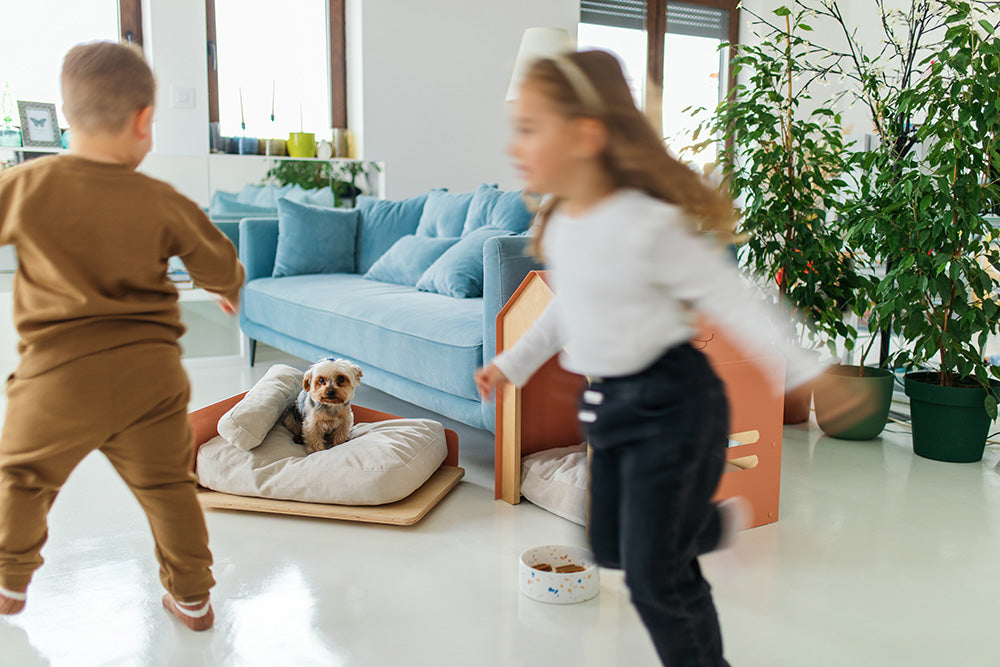 Why Odor Comes Back And How to Eliminate It For Good